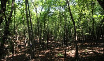000 Sorrell Rd, Benton, AR 72015