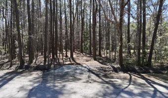 0 Lot 2 Creek Place Rd, Arapahoe, NC 28510