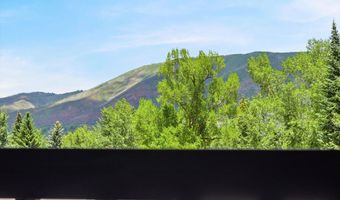 124 W Hyman Ave 3B, Aspen, CO 81611
