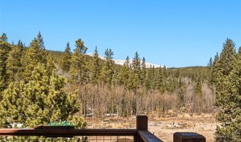 1227 Edgewood Rd, Alma, CO 80420