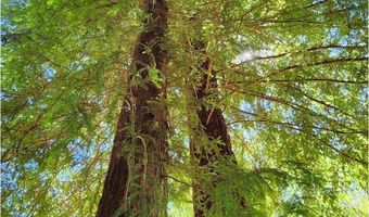 96422 ALDER RIDGE Rd, Brookings, OR 97415