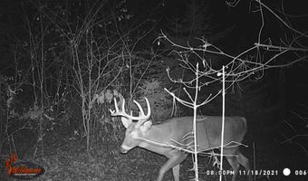 8752 HWY A, Almond, WI 54909