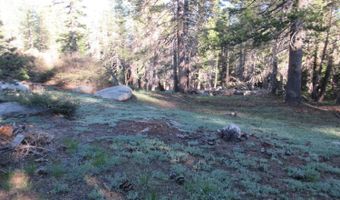 175 Silver Tip Dr, Bear Valley, CA 95223