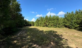 1365 Mickle Smith Trl, Bogue Chitto, MS 39629