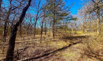 Tbd 13.7+/- Acres County Road 2560, Alvord, TX 76225