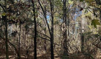 793 Puncheon Creek Dr, Andrews, SC 29510