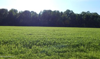500 Cr 247 Country Rd, Bruce, MS 38915
