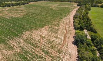 81 3+/- Acres SW Boyer Rd, Augusta, KS 67010
