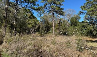 249 15th St, Apalachicola, FL 32320