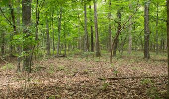 3899 County Road 304, Alton, MO 65606