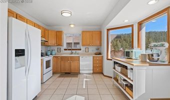 73 Sunlight Ln, Bailey, CO 80421