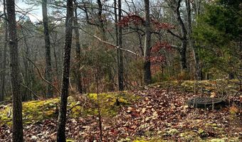 KING Street, Basye, VA 22810