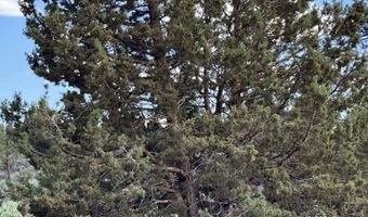 TL 300 HWY 140, Beatty, OR 97621