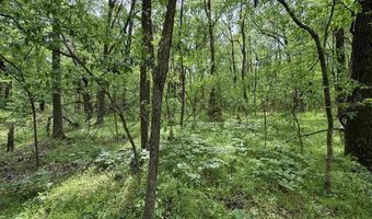 Tract 1 East Bay Road, Atkins, AR 72823