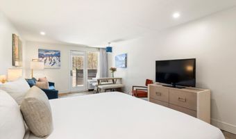 38750 Hwy 82 1109, Aspen, CO 81611