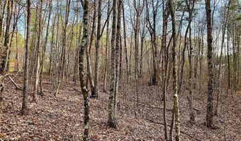 8648 Groundhog Rd, Adger, AL 35006