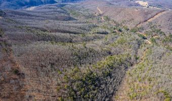 Stoots Mountain Rd. lot 31-A-109, Austinville, VA 24312
