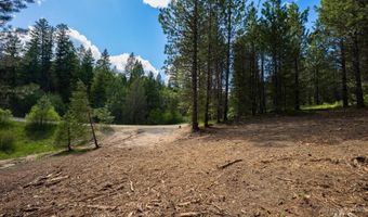 Price Loop lot 51, Cascade, ID 83611