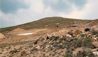 Ms # 17664- LAST ROSE BARRY LYNDON RORY OMORE - 66.66%, Alma, CO 80420