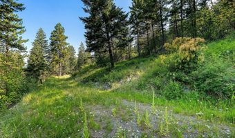 48 Bridle Ct, Bigfork, MT 59911