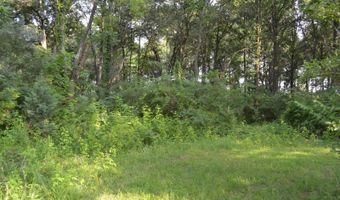 County Road 550 E, Albion, IL 62806