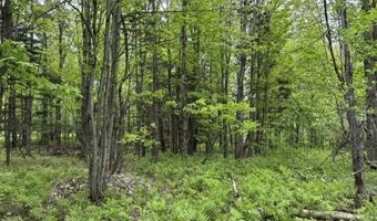 200 Coits Gore Rd, Bakersfield, VT 05441