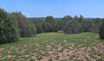 Birdwing Lane, Clay Springs, AZ 85923