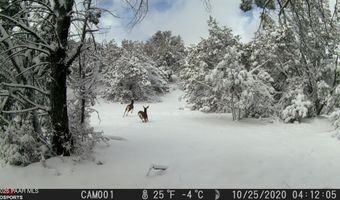 918 Wolf Rd, Ash Fork, AZ 86320