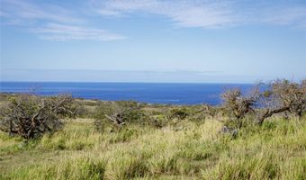 Lot # 9 Lahuiki Place, Hawi, HI 96719