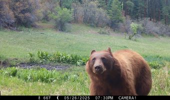15098 CR 240, Bayfield, CO 81122