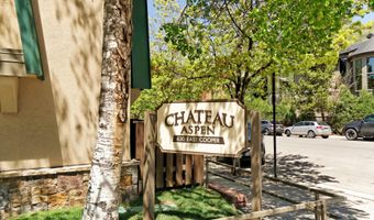 630 E Cooper Ave 1, Aspen, CO 81611