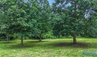 Unit # 0 Murphree Valley Road, Altoona, AL 35952