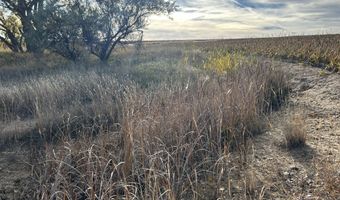 00000 CR 140, Alexander, KS 67513