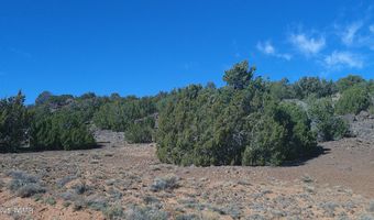 142 County Road 8020, Concho, AZ 85924