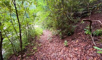 520 Calvin Cove Rd, Almond, NC 28702