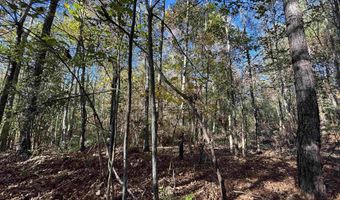 0 WALDROP Rd 10.82 Acres, Ashville, AL 35953