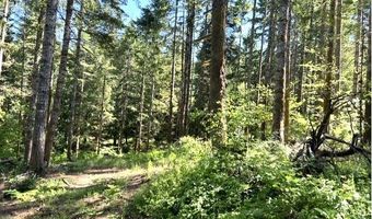 Tunnel Tract Parcel3, Banks, OR 97106