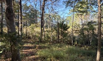 338 Southern Way Lot 61 W/ Boat Slip #3, Arapahoe, NC 28510