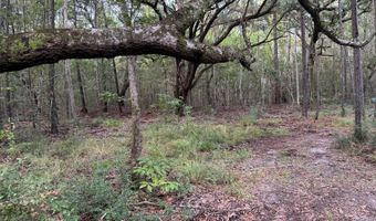 Lower Bay Road, Bay St. Louis, MS 39520