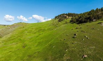 74 Blacktooth Rd, Big Horn, WY 82833