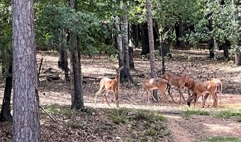514 Englewood Dr, Abbeville, AL 36310
