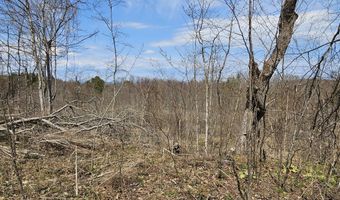 295 Shellstone Rd, Amsterdam, NY 12010