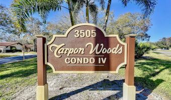 3505 TARPON WOODS Blvd I407, Palm Harbor, FL 34685