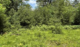 00 Simonsville Rd Lot 3, Andover, VT 05143