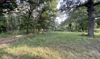44 Thrasher Ln, Anderson, MO 64831