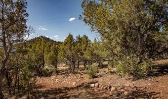 475 Run Around, Arboles, CO 81121