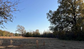 11 Acres RISER MILL ROAD Lot 11 Acres, Alpine, AL 35014