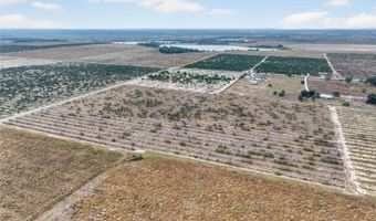 ALTURAS BABSON PARK CUTOFF, Bartow, FL 33830