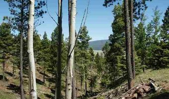 Lot 91ab Pam Coleman Drive, Angel Fire, NM 87710