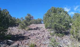 142 County Road 8020, Concho, AZ 85924